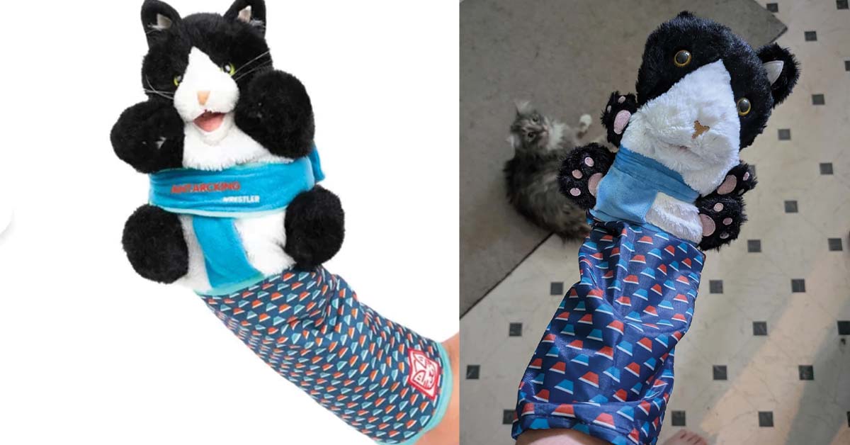 Cat puppet gone wrong